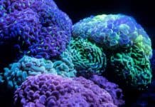 A Beginner’s Guide to the Neuroplasticity of the Brain Cognitive Therapy Neuroplasticity