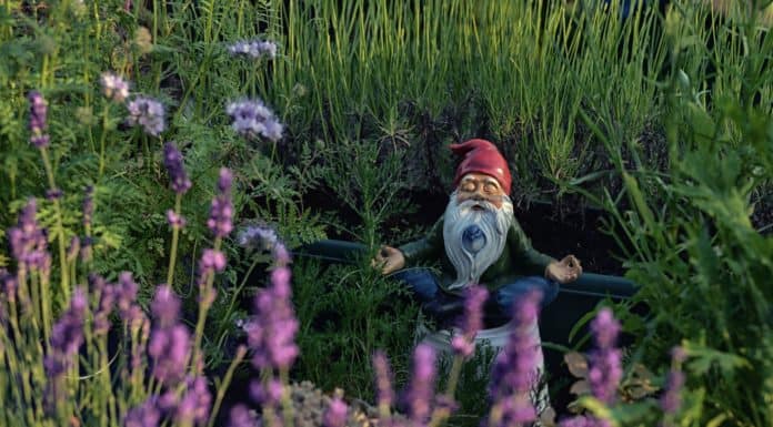 7 Myths About Meditation Everybody Needs To Know Myths About Meditation