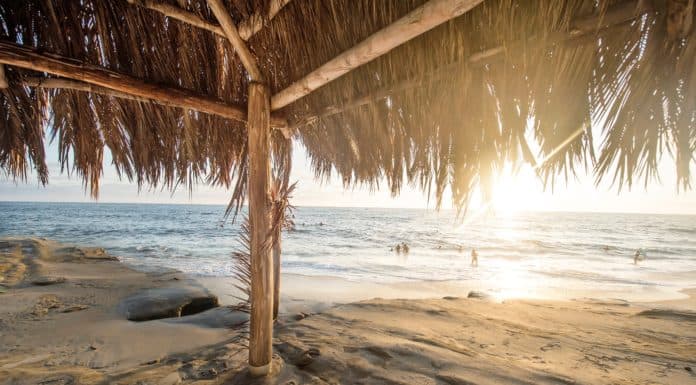 How Living Near the Ocean Can Improve Your Mental Health Mental Health