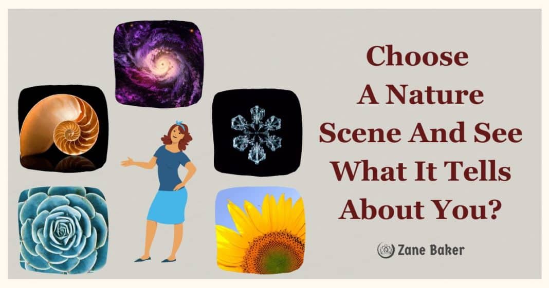 Choose A Nature Scene And See What It Tells About You - secret language of nature