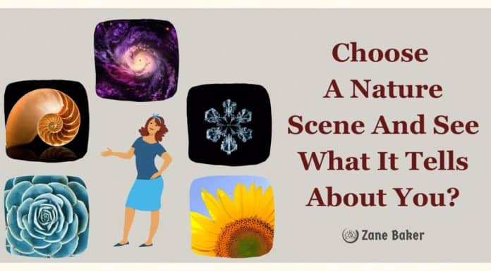 Quiz: The Secret Language of Nature & Fractals Choose A Nature Scene And See What It Tells About You - secret language of nature