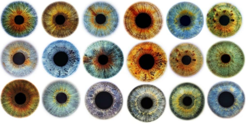 Eye Color Quiz Can We Guess Your Eye Color Based On These Pictures