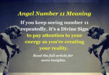 Angel Number 11 Meanings – What Makes It So Special? Angel Number 11 Meaning