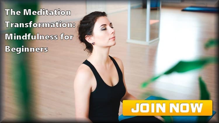 The Meditation Transformation  Mindfulness for Beginners Udemy Zane Baker Services