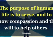 Never Settle For Less Than Your Personal Mission In Life Never Settle For Less Than Your Personal Mission In Life!