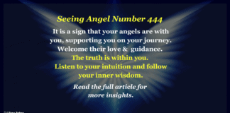 444 Meaning – How Can Angel Number 444 Influence Your Life? Angel number 444 meaning It is a sign that your angels are with you, supporting you on your journey. Welcome their love & guidance. The truth is within you. Listen to your intuition and follow your inner wisdom.