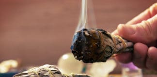 The Benefits of Sage Burning: All You Need To Know About Sage! sage burning natural white sage burning incense