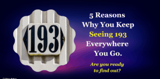 Understanding The Meaning and Signs Behind Angel Number 193 5 Reasons Why You Keep Seeing angel number 193 Everywhere You Go.