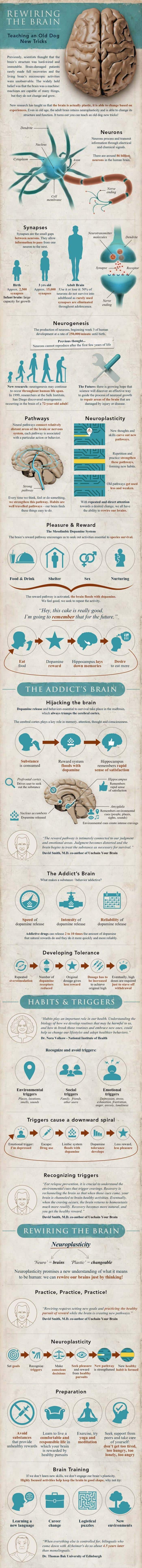 Introduction to Neuroplasticity and Cognitive Therapy
