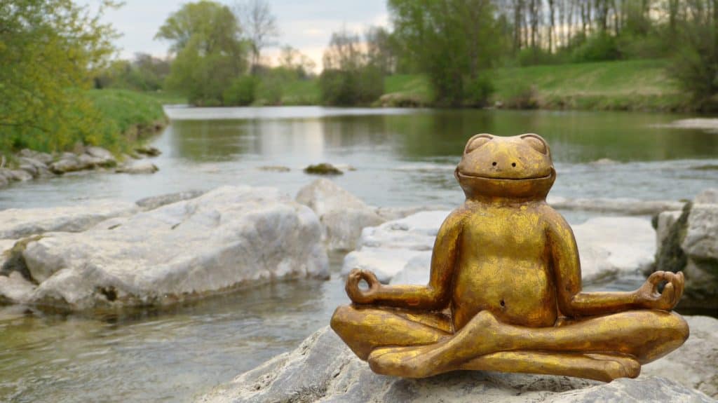 Let's go over how meditation makes you feel!