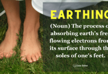 All You Need To Know About Grounding (AKA Earthing) Earthing or Grounding (Noun) The process of absorbing earth's free flowing electrons from its surface through the soles of one's feet.
