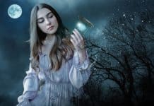 Which Animal Do You Transform Into? Which Animal Do You Transform Into