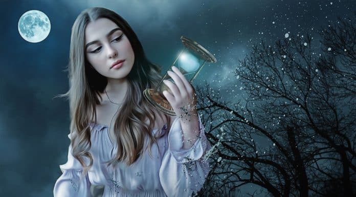 Which Animal Do You Transform Into? Which Animal Do You Transform Into