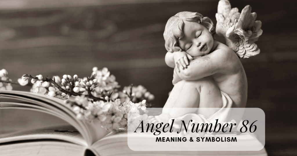 angel number 86 meaning and what does the number 86 mean?
