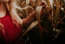 Never Discredit Your Gut Instinct, Trust your instincts. Trusting Your Gut Instinct