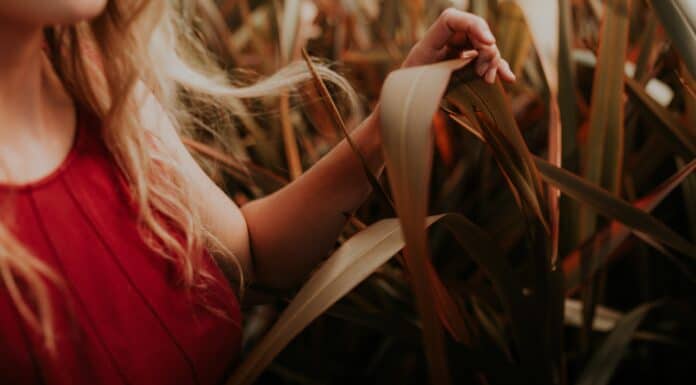 Never Discredit Your Gut Instinct, Trust your instincts. Trusting Your Gut Instinct