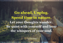 Why You Need to Reconnect with Nature (And What to Do if You Can’t) how to reconnect with nature in this modern age