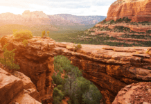 5 Reasons Why a Wellness Retreat Is the Ideal Getaway for Your Health