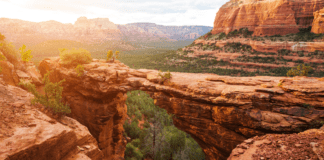 5 Reasons Why a Wellness Retreat Is the Ideal Getaway for Your Health