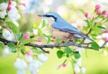 Color Therapy: Feel Pure Joy In Seconds Color Therapy Combined Color Therapy