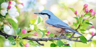 Color Therapy: Feel Pure Joy In Seconds Color Therapy Combined Color Therapy