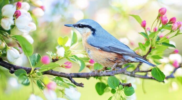 Color Therapy: Feel Pure Joy In Seconds Color Therapy Combined Color Therapy