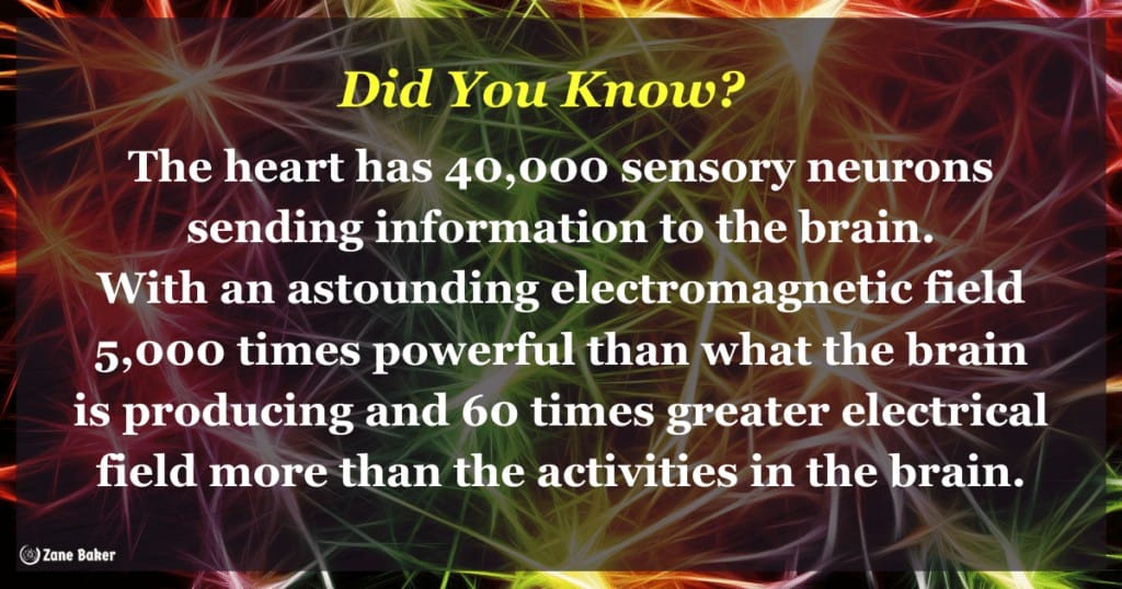 Quote: Did you know?
The heart has 40,000 sensory neurons sending information to the brain. With an astounding electromagnetic field 5,000 times more powerful than what the brain is producing and it's electrical field is 60 times greater.