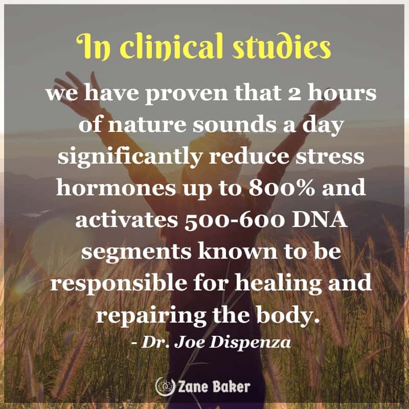 we have proven that 2 hours of nature sounds a day significantly reduce stress hormones up to 800% and activates 500-600 DNA segments known to be responsible for healing and repairing the body. - Dr. Joe Dispenza