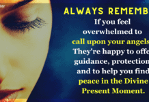 Free Angel Card Reading: What Do Your Angels Want You to Hear Today? If you feel overwhelmed remember to call on your angels! They're happy to offer guidance, protection, and to help you find peace in the present moment.