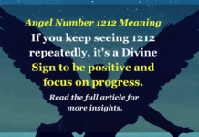 Why Do You Keep Seeing Angel Number 1212 Repeatedly – Angel Number 1212 Meaning Angel Number 1212 Meaning - Angel Number 1212 If you keep seeing 1212 repeatedly, it's a Divine Sign to be positive and focus on progress