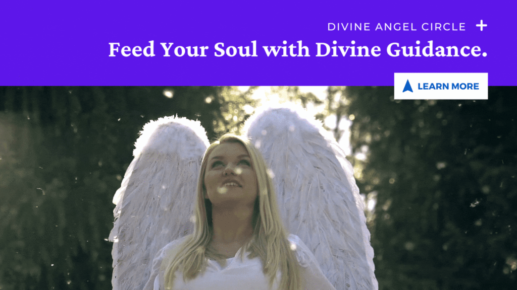 Feed your soul with Divine Guidance. Divine Angel Circle