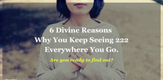 Angel Number 222 Meaning Explained (Everything You Need To Know About 222 Meaning) angel number 222 meaning and why it keeps appearing in your life