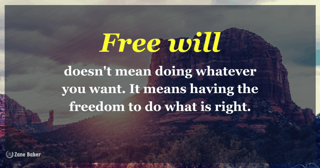 Free will meaning