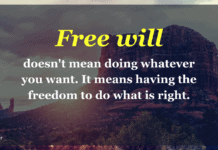 Do Humans Have Free Will, and What Science Has To Say About It? Free will meaning