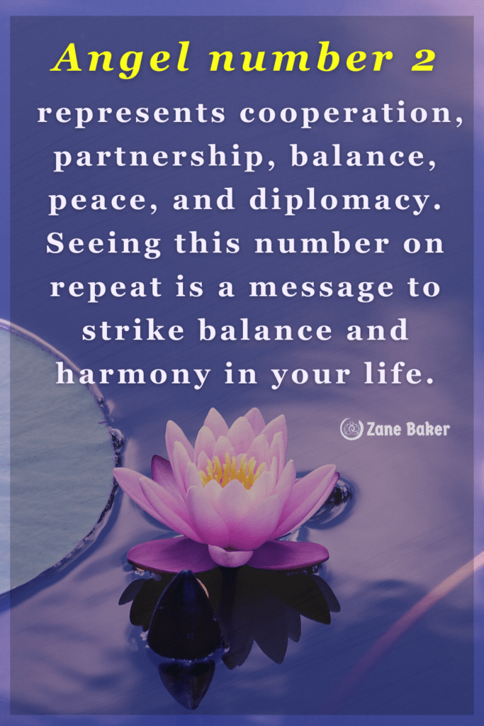 Co-operation, partnership, balance are the attributes of angel number 2. A peaceful world is a result of diplomacy. You are being told something by seeing this number repeated  Maintain balance and harmony in your life.